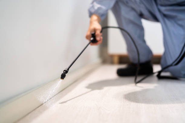 Certified termite inspector examining foundation in Covina
