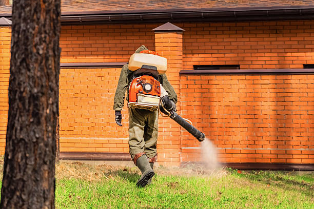 Top rated local Mosquito Control specialists in Covina, CA